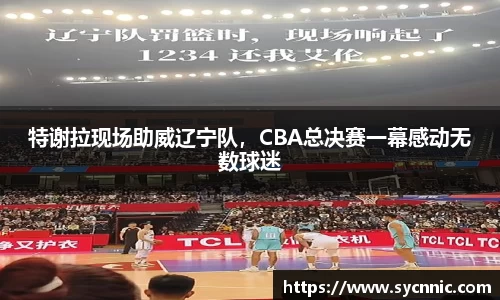 特谢拉现场助威辽宁队，CBA总决赛一幕感动无数球迷