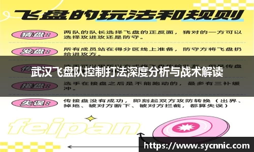 武汉飞盘队控制打法深度分析与战术解读