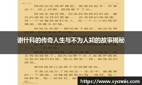 谢什科的传奇人生与不为人知的故事揭秘