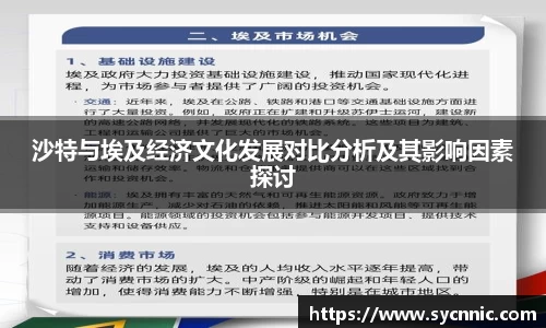沙特与埃及经济文化发展对比分析及其影响因素探讨