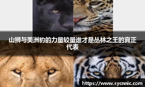 九游娱乐登录注册